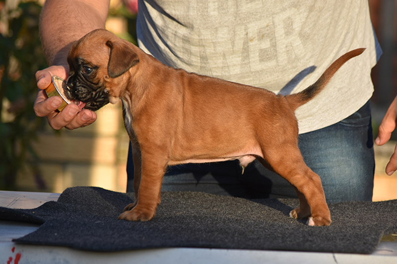 R litter - gallery